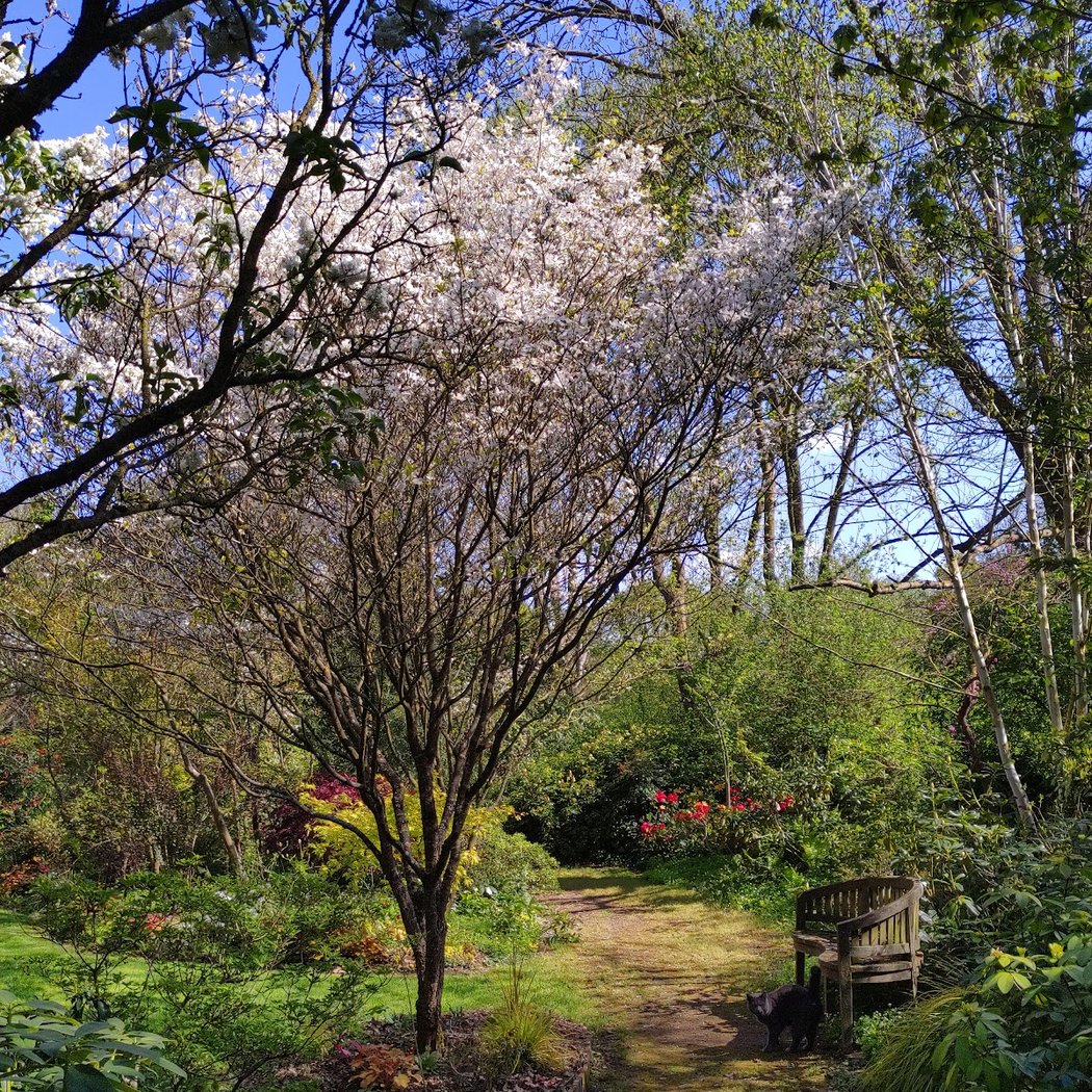 Jardin de Cistus 2